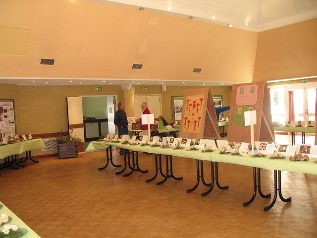 Expo champignons a St Leger 69